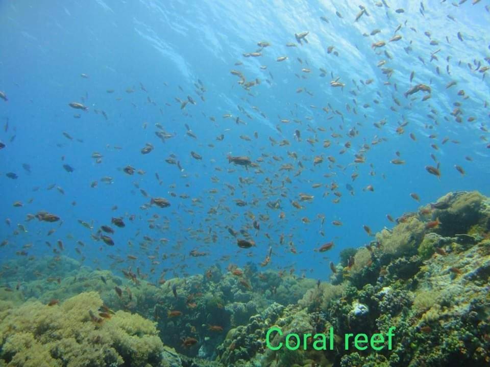 Isla Water Sports And Resorts Inc Batangas Екстериор снимка